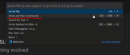 Show and Run Commands